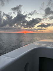 Captain Martyn Walker