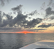 Captain Martyn Walker